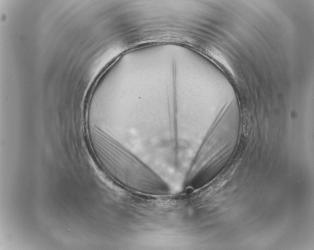 X0000088601087200706151755