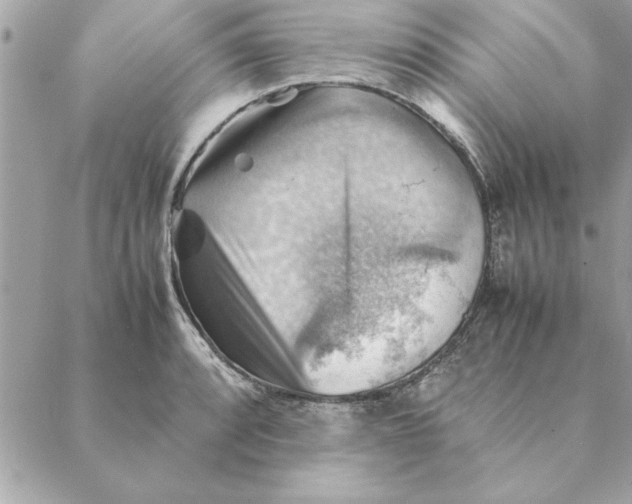 X0000088601088200706151755