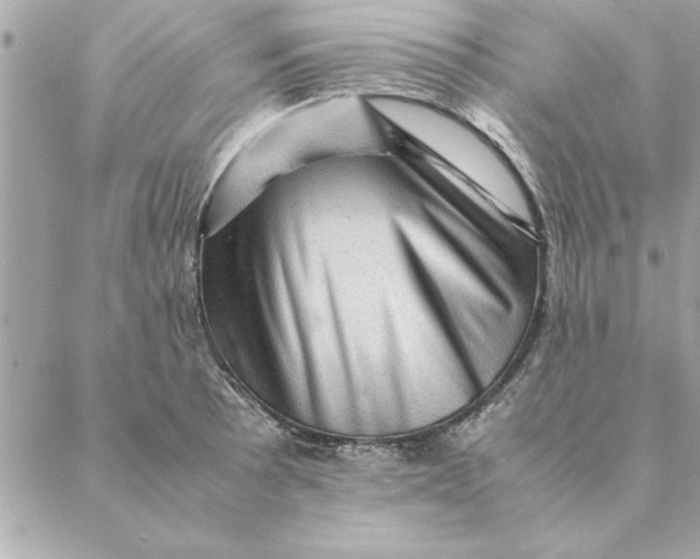 X0000088601089200706151755