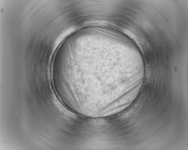 X0000088601090200706151755