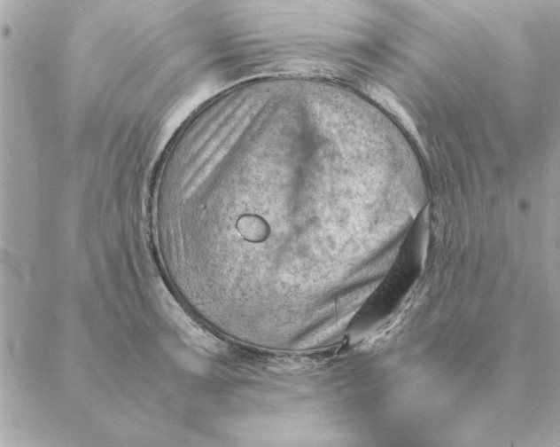 X0000088601091200706151755