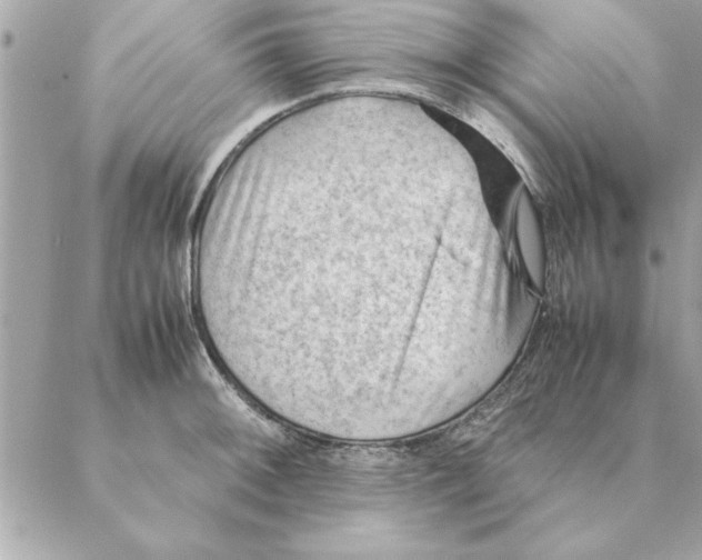 X0000088601092200706151755