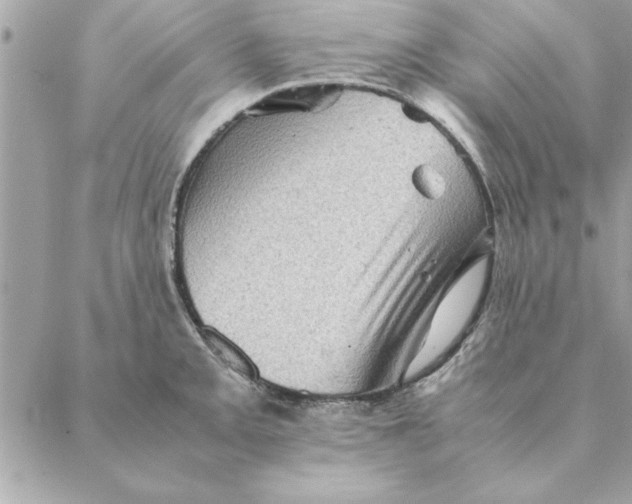 X0000088601093200706151755