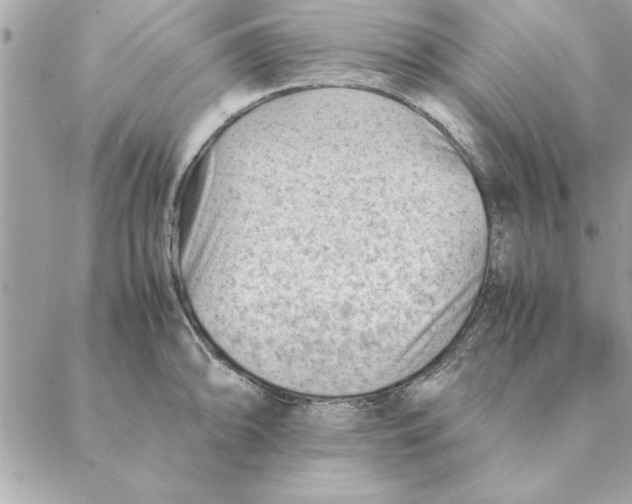 X0000088601094200706151755