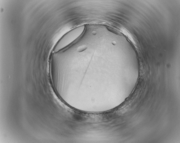 X0000088601095200706151755