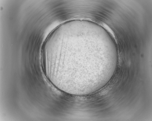 X0000088601096200706151755