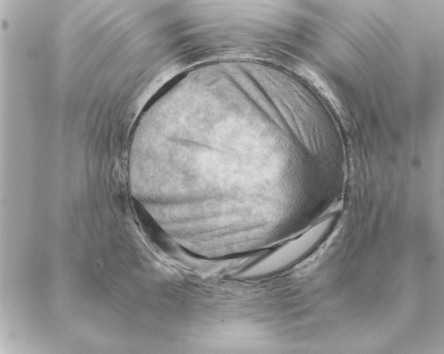 X0000088601097200706151755