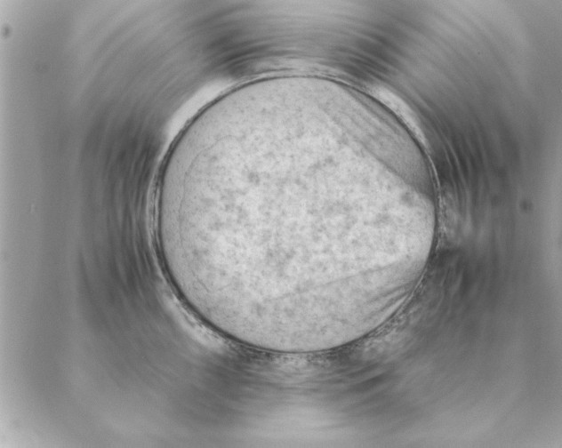 X0000088601098200706151755