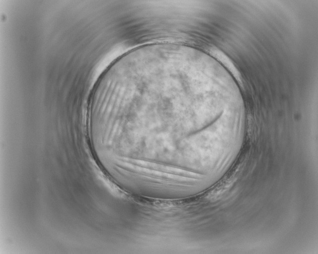 X0000088601099200706151755