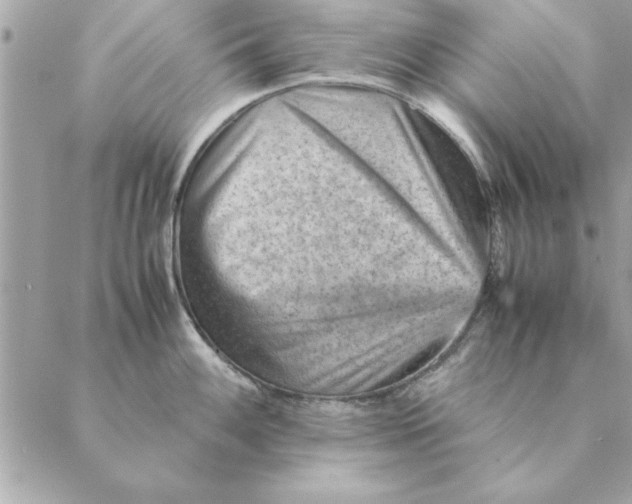 X0000088601100200706151755