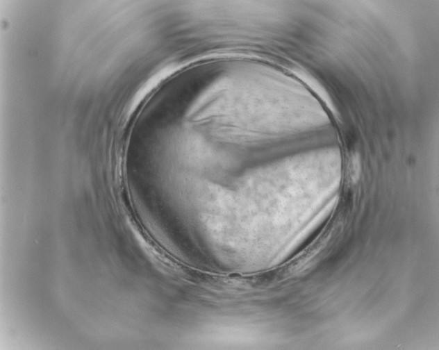 X0000088601101200706151755