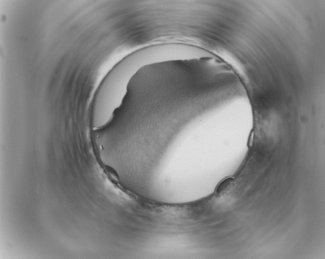 X0000088601102200706151755