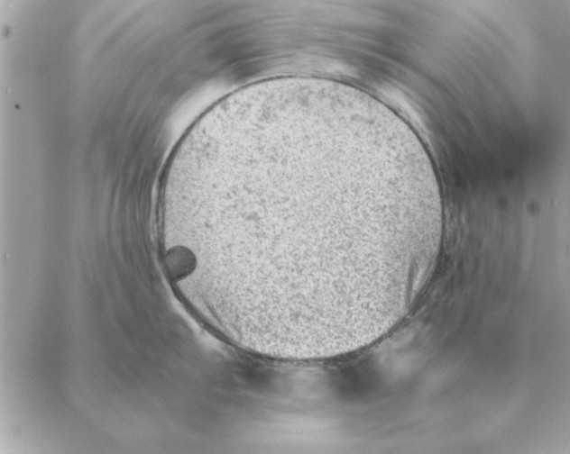 X0000088601103200706151755