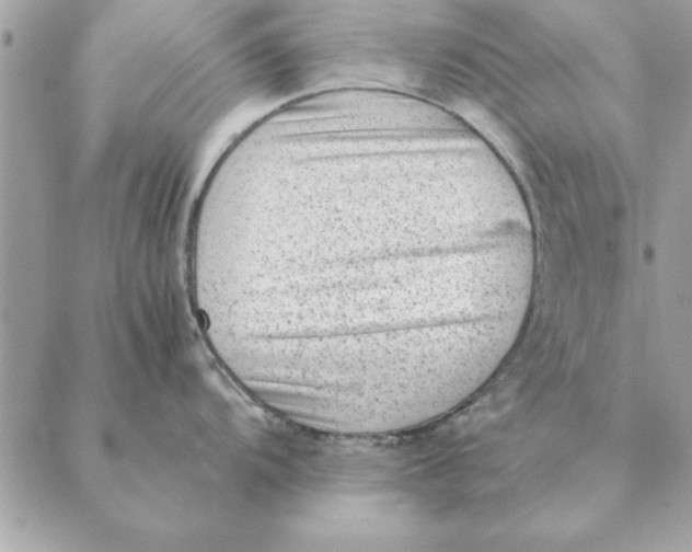 X0000088601104200706151755