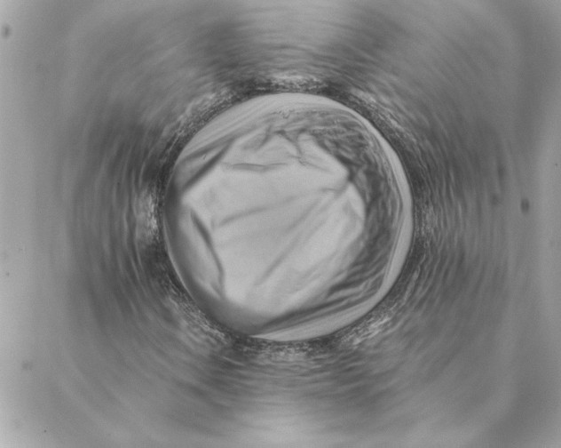 X0000088601106200706151754