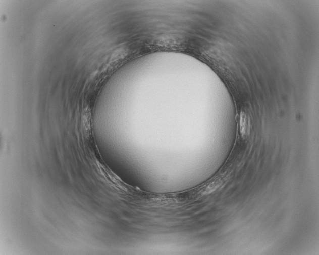 X0000088601107200706151754