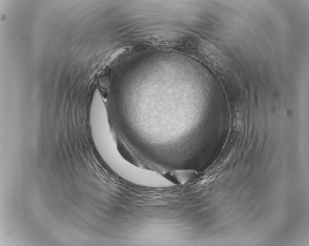 X0000088601108200706151754