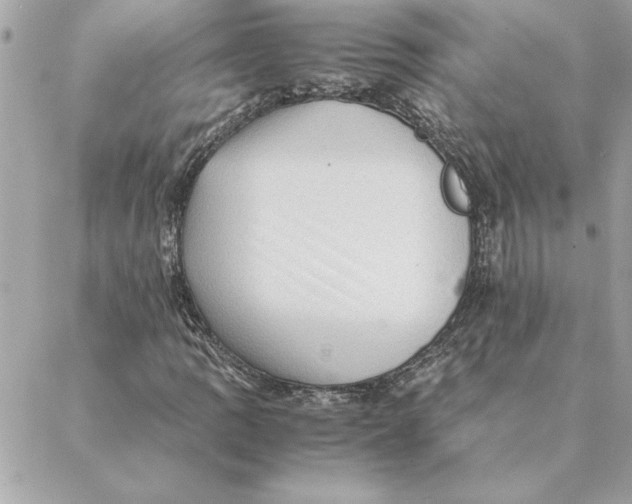 X0000088601109200706151754