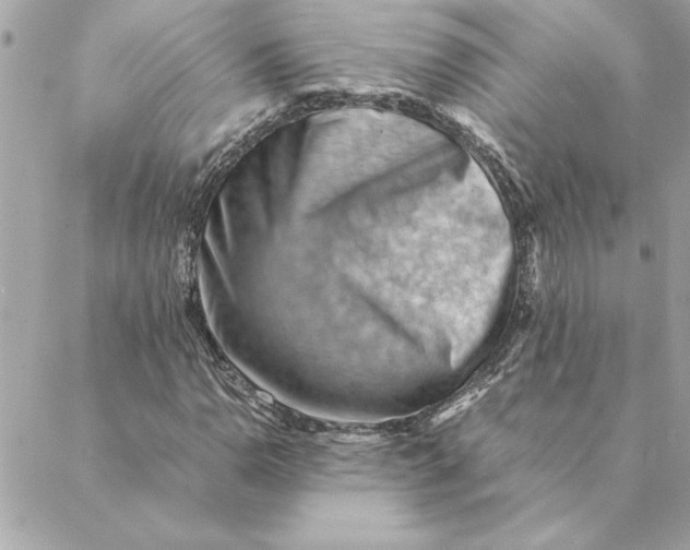 X0000088601110200706151754