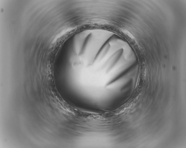 X0000088601112200706151754