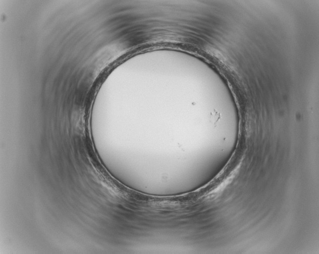 X0000088601113200706151754