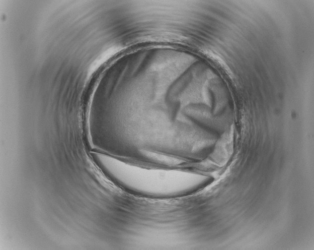 X0000088601114200706151754