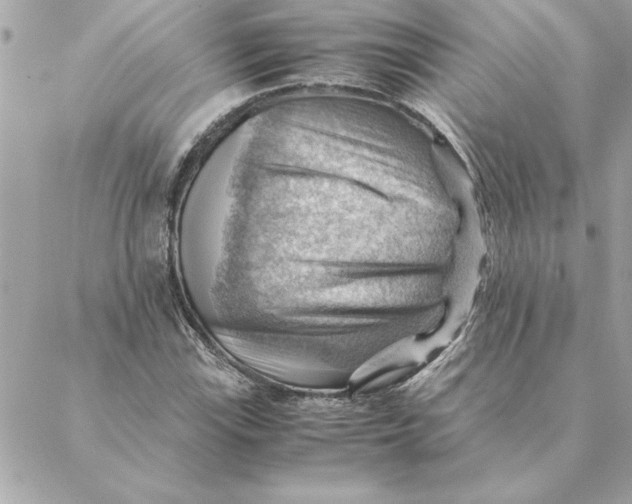 X0000088601115200706151754