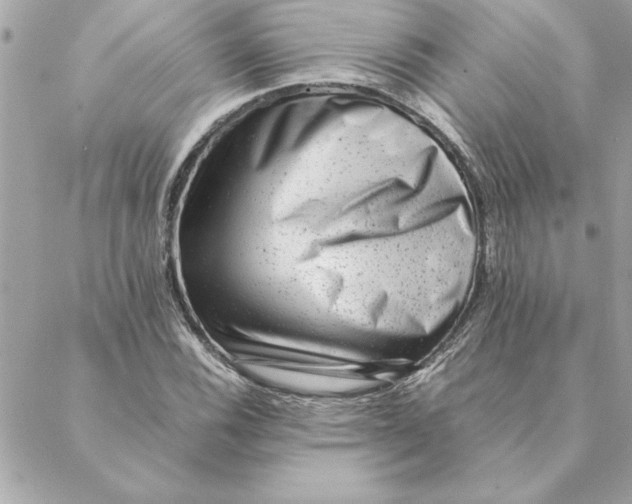 X0000088601116200706151754