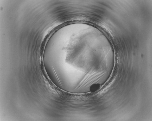 X0000088601117200706151754