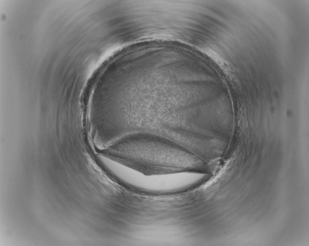 X0000088601118200706151754