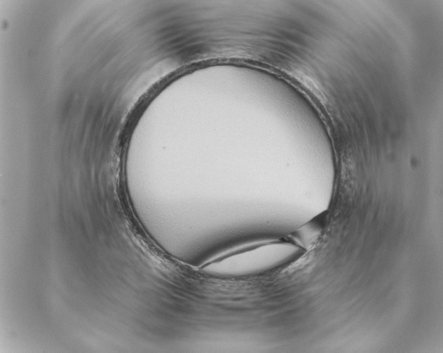 X0000088601119200706151754