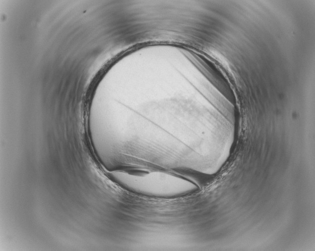 X0000088601120200706151754