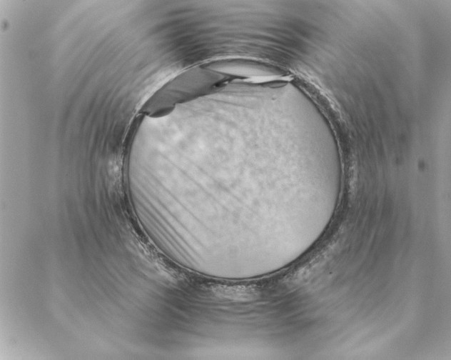 X0000088601121200706151754