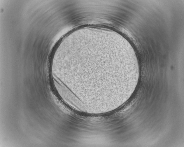 X0000088601122200706151754