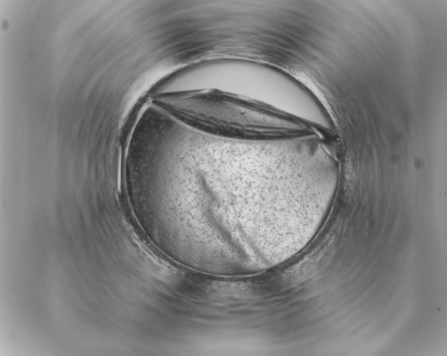 X0000088601123200706151754