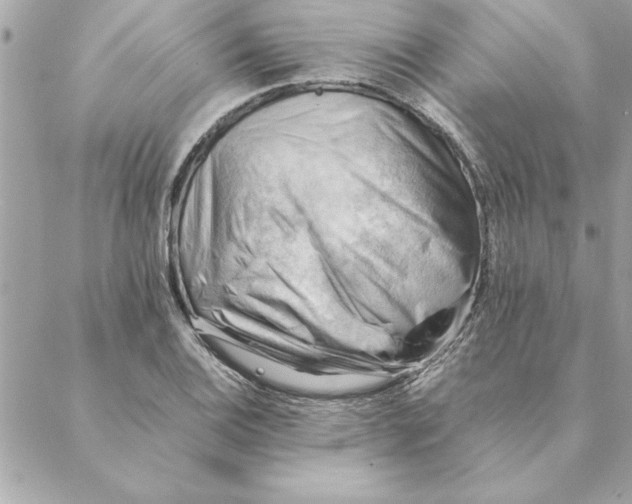 X0000088601124200706151754