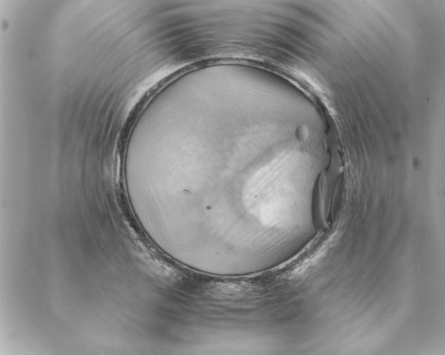 X0000088601125200706151754