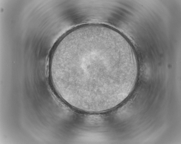 X0000088601126200706151754