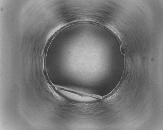 X0000088601127200706151754