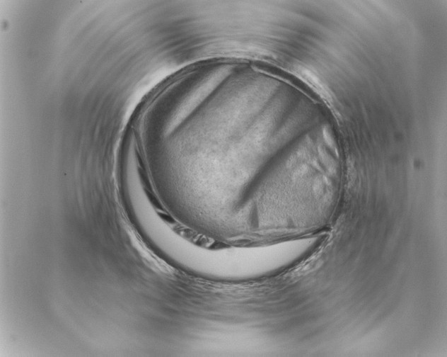 X0000088601128200706151754