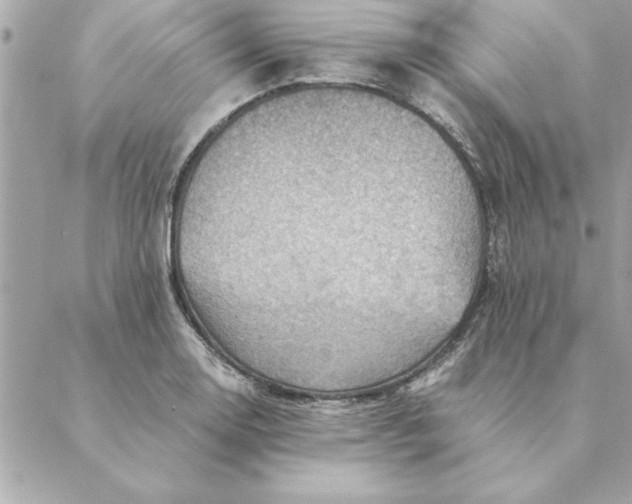 X0000088601130200706151755