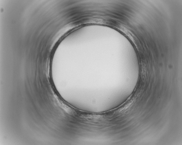 X0000088601131200706151755