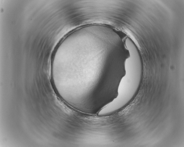 X0000088601132200706151755