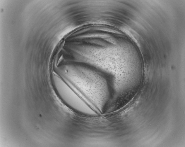 X0000088601133200706151755