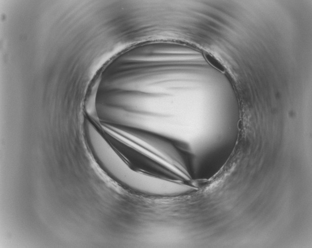 X0000088601134200706151755