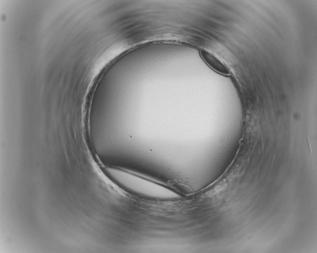 X0000088601135200706151755