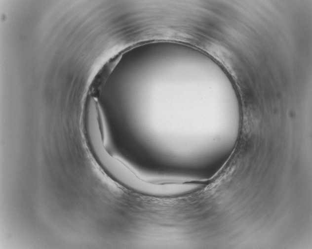 X0000088601136200706151755