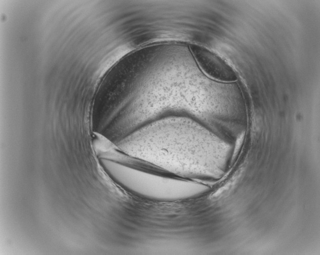 X0000088601137200706151755