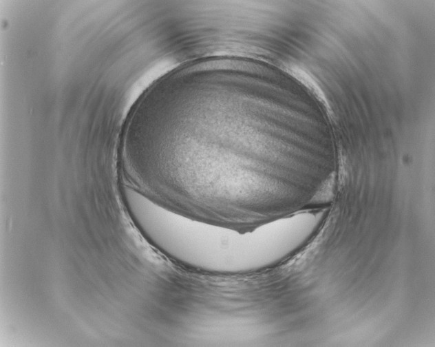 X0000088601138200706151755