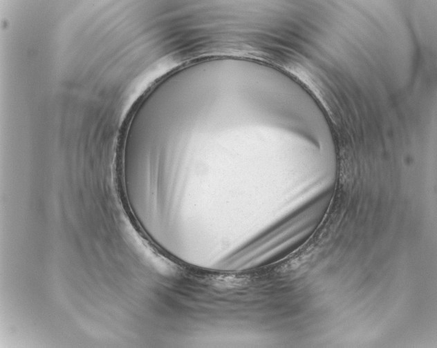 X0000088601139200706151755